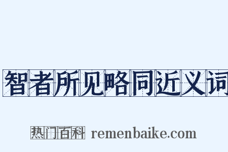 智者所见略同近义词是什么意思的图片